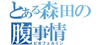 とある森田の腹事情（ビオフェルミン）