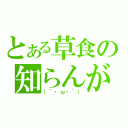 とある草食の知らんがな（（´・ω・｀））