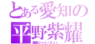 とある愛知の平野紫耀（関西ジャニーズＪｒ．）