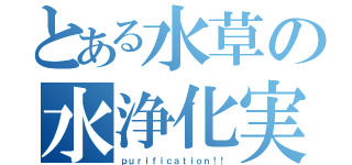 とある水草の水浄化実験（ｐｕｒｉｆｉｃａｔｉｏｎ！！）