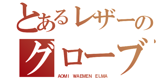 とあるレザーのグローブ（ＡＯＭＩ　ＷＡＥＭＥＮ　ＥＬＭＡ）