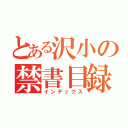 とある沢小の禁書目録（インデックス）