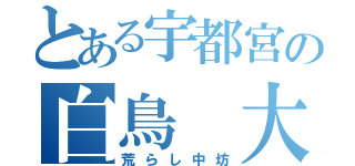 とある宇都宮の白鳥 大（荒らし中坊）