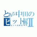 とある中田のピット解体Ⅱ（ピット大好き）