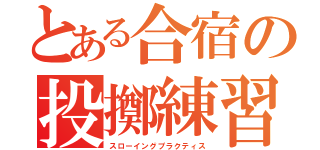 とある合宿の投擲練習（スローイングプラクティス）