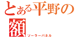 とある平野の額（ソーラーパネル）