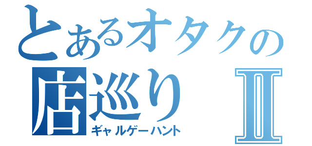 とあるオタクの店巡りⅡ（ギャルゲーハント）