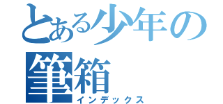とある少年の筆箱（インデックス）