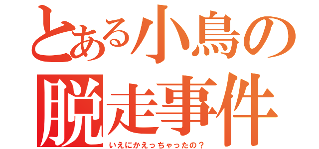 とある小鳥の脱走事件（いえにかえっちゃったの？）