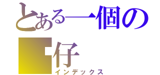 とある一個の傻仔（インデックス）