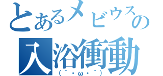 とあるメビウスの入浴衝動（（´・ω・｀））