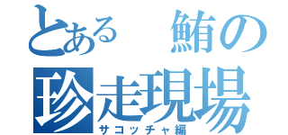 とある 鮪の珍走現場（サコッチャ編）