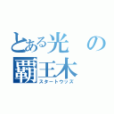 とある光の覇王木（スタートウッズ）