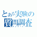 とある実験の質問調査（アンケート）