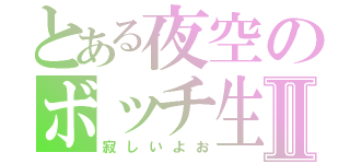 とある夜空のボッチ生活Ⅱ（寂しいよお）