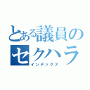 とある議員のセクハラ発言（インデックス）