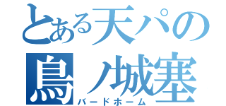 とある天パの鳥ノ城塞（バードホーム）