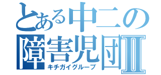 とある中二の障害児団体Ⅱ（キチガイグループ）