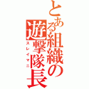 とある組織の遊撃隊長（スレイマニ）