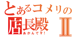 とあるコメリの店長殿Ⅱ（あかんです！）