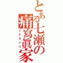 とある七瀬の痛寫眞家（イタカメコ）