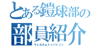 とある鎧球部の部員紹介（ウェルカムトゥバイソン）