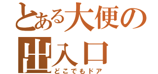 とある大便の出入口（どこでもドア）