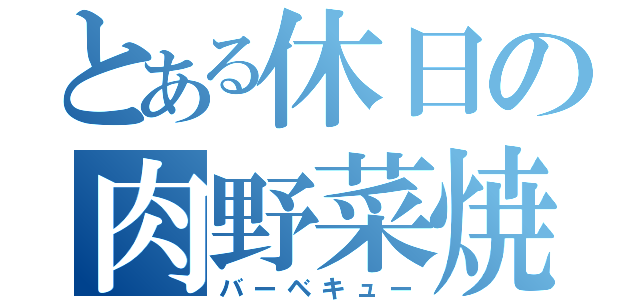 とある休日の肉野菜焼（バーベキュー）