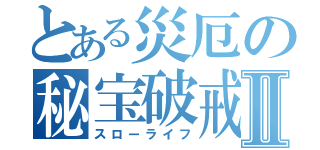 とある災厄の秘宝破戒録Ⅱ（スローライフ）