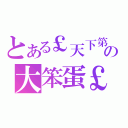 とある￡天下第一の大笨蛋￡（）