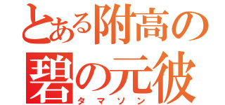 とある附高の碧の元彼（タマソン）