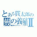 とある貫太郎の鰻の養殖Ⅱ（鰻がまたウマイ！！）