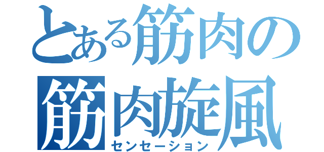 とある筋肉の筋肉旋風（センセーション）