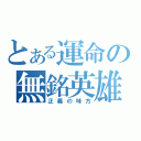 とある運命の無銘英雄（正義の味方）