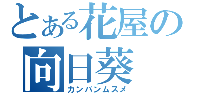 とある花屋の向日葵（カンバンムスメ）