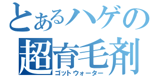 とあるハゲの超育毛剤（ゴットウォーター）