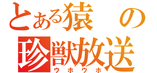 とある猿の珍獣放送（ウホウホ）