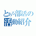 とある部活の活動紹介（）