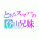 とあるスマブラの登山兄妹（アイスクライマー）