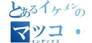 とあるイケメンのマツコ・デラックス（インデックス）