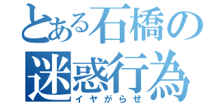 とある石橋の迷惑行為（イヤがらせ）