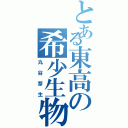 とある東高の希少生物（丸谷芽生）