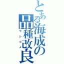 とある海成の品種改良（ウシゴメ）