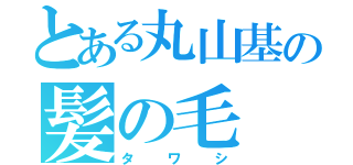 とある丸山基の髪の毛（タワシ）