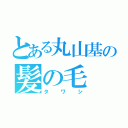 とある丸山基の髪の毛（タワシ）