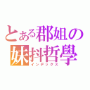 とある郡姐の妹抖哲學（インデックス）