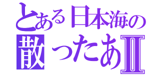 とある日本海の散ったあれⅡ（）