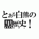 とある白熊の黒歴史！（キティ）