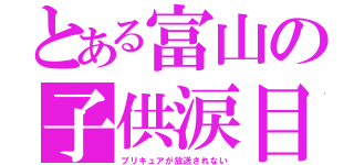 とある富山の子供涙目（プリキュアが放送されない）