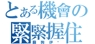 とある機會の緊緊握住（蘇狗伊內）